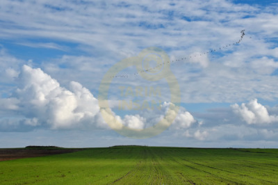 12. TARIM ORMAN VE İNSAN FOTOĞRAF YARIŞMASI - Tahsin TOPÇU