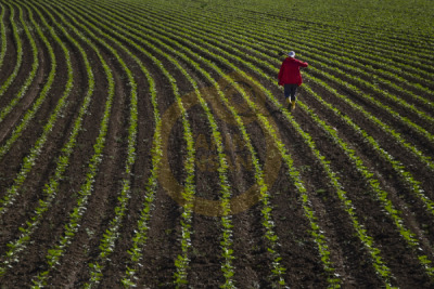 12. TARIM ORMAN VE İNSAN FOTOĞRAF YARIŞMASI - Turhan ÜLGÜDÜR