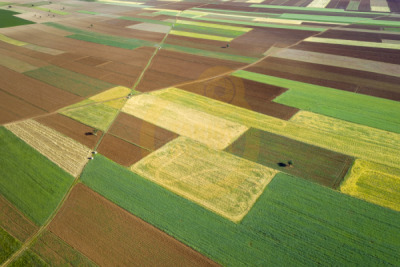 12. TARIM ORMAN VE İNSAN FOTOĞRAF YARIŞMASI - Ümit ERDEM