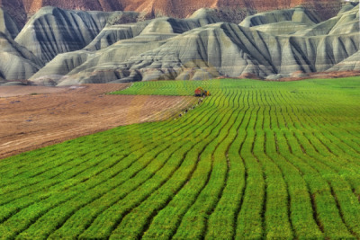 12. TARIM ORMAN VE İNSAN FOTOĞRAF YARIŞMASI - Gökalp BİLİCİ