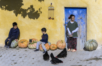 12. TARIM ORMAN VE İNSAN FOTOĞRAF YARIŞMASI - Fuat YETKİN