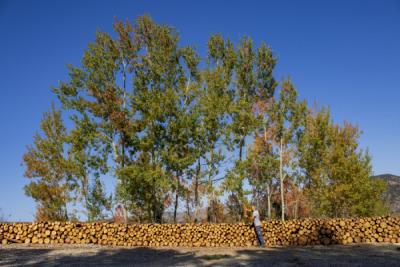12. TARIM ORMAN VE İNSAN FOTOĞRAF YARIŞMASI - Abdurrahman KURT