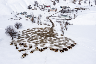 13. TARIM ORMAN VE İNSAN FOTOĞRAF YARIŞMASI - Yücel ALBAYRAK