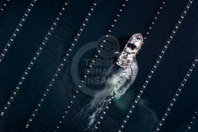 13. TARIM ORMAN VE İNSAN FOTOĞRAF YARIŞMASI - İsmail Serhat ŞAHİN