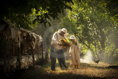 13. TARIM ORMAN VE İNSAN FOTOĞRAF YARIŞMASI - Gazi AYDIN