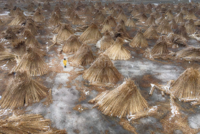 13. TARIM ORMAN VE İNSAN FOTOĞRAF YARIŞMASI - Abdurrahman ÇETİN