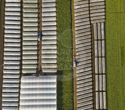 13. TARIM ORMAN VE İNSAN FOTOĞRAF YARIŞMASI - Abdulkadir SÖĞÜT