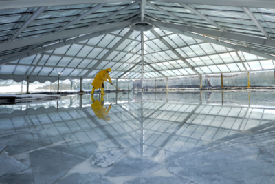 13. TARIM ORMAN VE İNSAN FOTOĞRAF YARIŞMASI - Abdurrahman ÇETİN