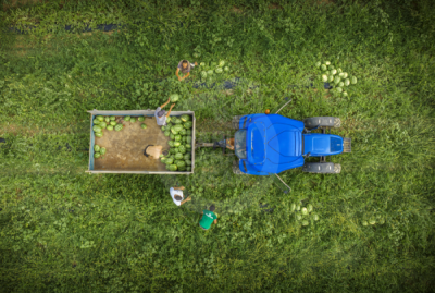 13. TARIM ORMAN VE İNSAN FOTOĞRAF YARIŞMASI - Adem TÜRKEL