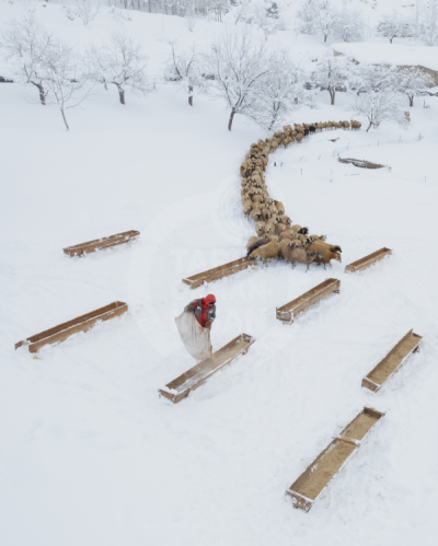 13. TARIM ORMAN VE İNSAN FOTOĞRAF YARIŞMASI - Ahmet ASLAN