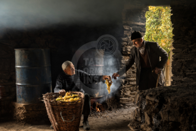 13. TARIM ORMAN VE İNSAN FOTOĞRAF YARIŞMASI - Ahmet Fatih SÖNMEZ