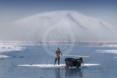 13. TARIM ORMAN VE İNSAN FOTOĞRAF YARIŞMASI - Ahmet Fatih SÖNMEZ