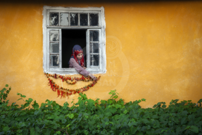 13. TARIM ORMAN VE İNSAN FOTOĞRAF YARIŞMASI - Ali ACAR