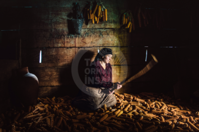 13. TARIM ORMAN VE İNSAN FOTOĞRAF YARIŞMASI - Ali KAHVECİ