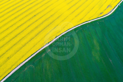 13. TARIM ORMAN VE İNSAN FOTOĞRAF YARIŞMASI - Ali KART