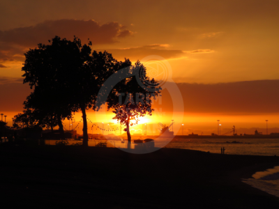 13. TARIM ORMAN VE İNSAN FOTOĞRAF YARIŞMASI - Betül YORMAZ