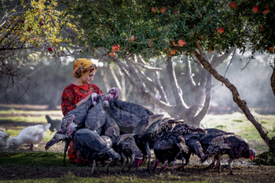 13. TARIM ORMAN VE İNSAN FOTOĞRAF YARIŞMASI - Ebubekir BÜRÇÜN
