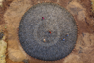 13. TARIM ORMAN VE İNSAN FOTOĞRAF YARIŞMASI - Ekrem ŞAHİN