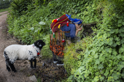 13. TARIM ORMAN VE İNSAN FOTOĞRAF YARIŞMASI - Elmas CUMCU