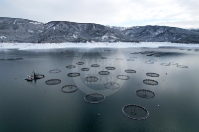 13. TARIM ORMAN VE İNSAN FOTOĞRAF YARIŞMASI - Fatih Hikmet ARGUN