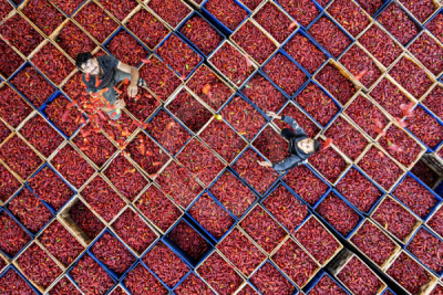 13. TARIM ORMAN VE İNSAN FOTOĞRAF YARIŞMASI - Feray BİLİR