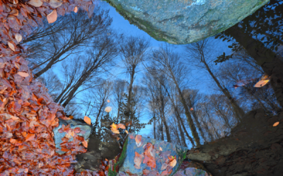 13. TARIM ORMAN VE İNSAN FOTOĞRAF YARIŞMASI - Gözde ŞAHİN