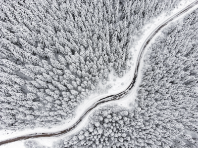 13. TARIM ORMAN VE İNSAN FOTOĞRAF YARIŞMASI - İsmail Serhat ŞAHİN