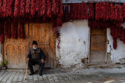 13. TARIM ORMAN VE İNSAN FOTOĞRAF YARIŞMASI - Mehmet YENER