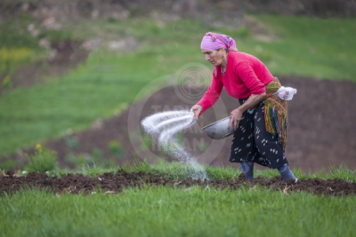 13. TARIM ORMAN VE İNSAN FOTOĞRAF YARIŞMASI - Metin ÖZTÜRK