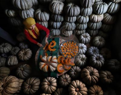 13. TARIM ORMAN VE İNSAN FOTOĞRAF YARIŞMASI - Muhammet CANSEVER