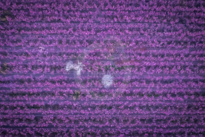 13. TARIM ORMAN VE İNSAN FOTOĞRAF YARIŞMASI - Muhammet Fatih YILDIRIM