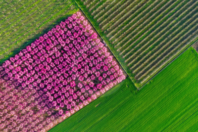 13. TARIM ORMAN VE İNSAN FOTOĞRAF YARIŞMASI - Murat İBRANOĞLU