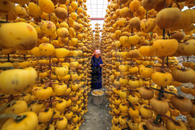 13. TARIM ORMAN VE İNSAN FOTOĞRAF YARIŞMASI - Musa TALAŞLI