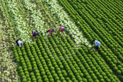 13. TARIM ORMAN VE İNSAN FOTOĞRAF YARIŞMASI - Mustafa YİĞİT