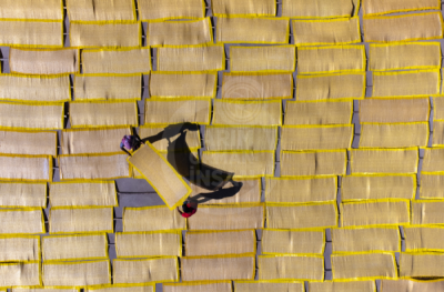 13. TARIM ORMAN VE İNSAN FOTOĞRAF YARIŞMASI - Ömer AÇAR