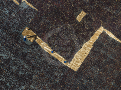 13. TARIM ORMAN VE İNSAN FOTOĞRAF YARIŞMASI - Ömer AÇAR