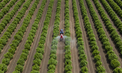 13. TARIM ORMAN VE İNSAN FOTOĞRAF YARIŞMASI - Ragıp SARI