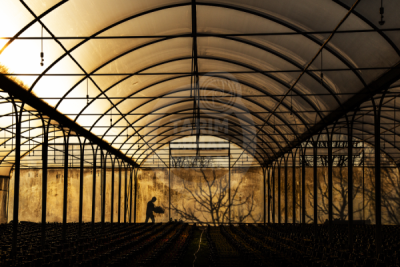 13. TARIM ORMAN VE İNSAN FOTOĞRAF YARIŞMASI - Tayip BAŞAK