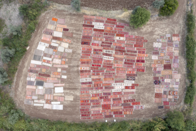 13. TARIM ORMAN VE İNSAN FOTOĞRAF YARIŞMASI - Ümit ERDEM