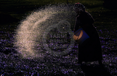 13. TARIM ORMAN VE İNSAN FOTOĞRAF YARIŞMASI - Yılmaz KARACA