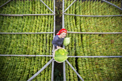 13. TARIM ORMAN VE İNSAN FOTOĞRAF YARIŞMASI - Murat AKGÜN