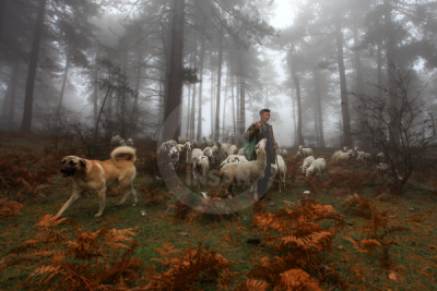 13. TARIM ORMAN VE İNSAN FOTOĞRAF YARIŞMASI - Erdoğan KARACABEY