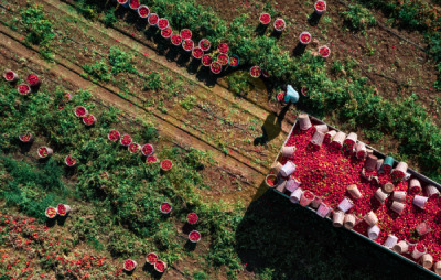 14. TARIM ORMAN VE İNSAN FOTOĞRAF YARIŞMASI - Adil EMEKTAR
