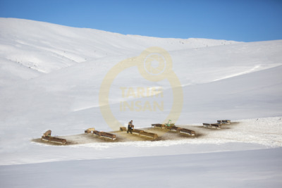 14. TARIM ORMAN VE İNSAN FOTOĞRAF YARIŞMASI - Meral KAYA