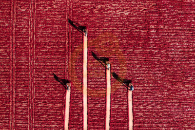 14. TARIM ORMAN VE İNSAN FOTOĞRAF YARIŞMASI - Beytullah ELES