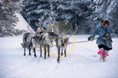 14. TARIM ORMAN VE İNSAN FOTOĞRAF YARIŞMASI - Elena KONONOVA