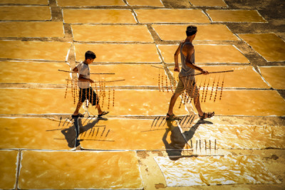 14. TARIM ORMAN VE İNSAN FOTOĞRAF YARIŞMASI - Abdullah VURAL