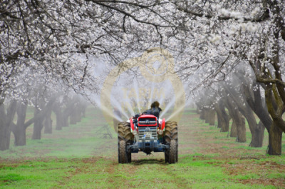 14. TARIM ORMAN VE İNSAN FOTOĞRAF YARIŞMASI - Alişan HAYIRLI