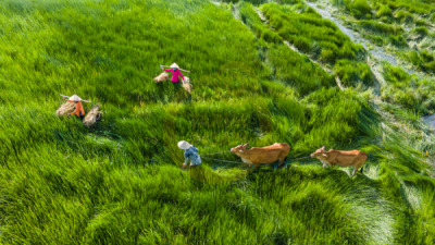 14. TARIM ORMAN VE İNSAN FOTOĞRAF YARIŞMASI - Betül ŞİMŞEK