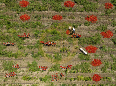 14. TARIM ORMAN VE İNSAN FOTOĞRAF YARIŞMASI - Ekrem ŞAHİN